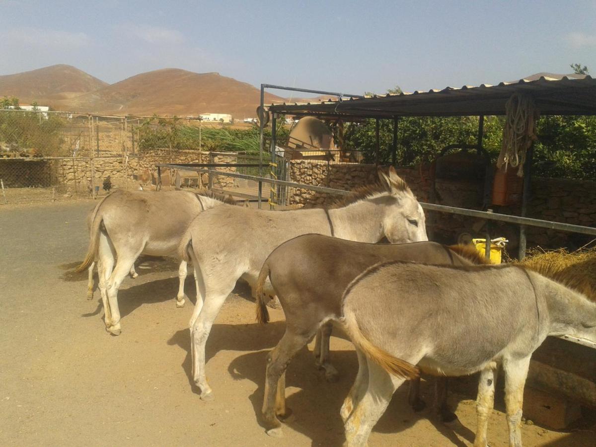 Agroturismo La Gayria Tiscamanita Ngoại thất bức ảnh