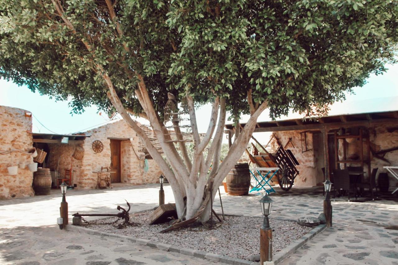 Agroturismo La Gayria Tiscamanita Ngoại thất bức ảnh
