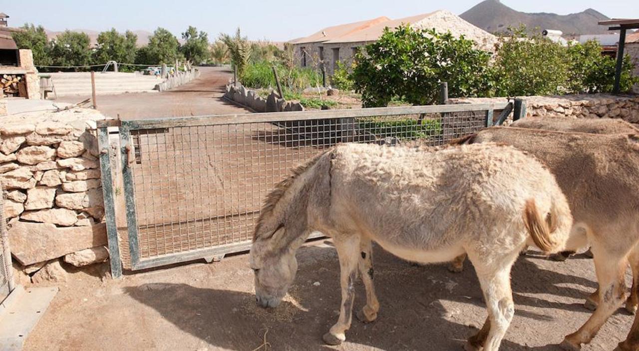 Agroturismo La Gayria Tiscamanita Ngoại thất bức ảnh